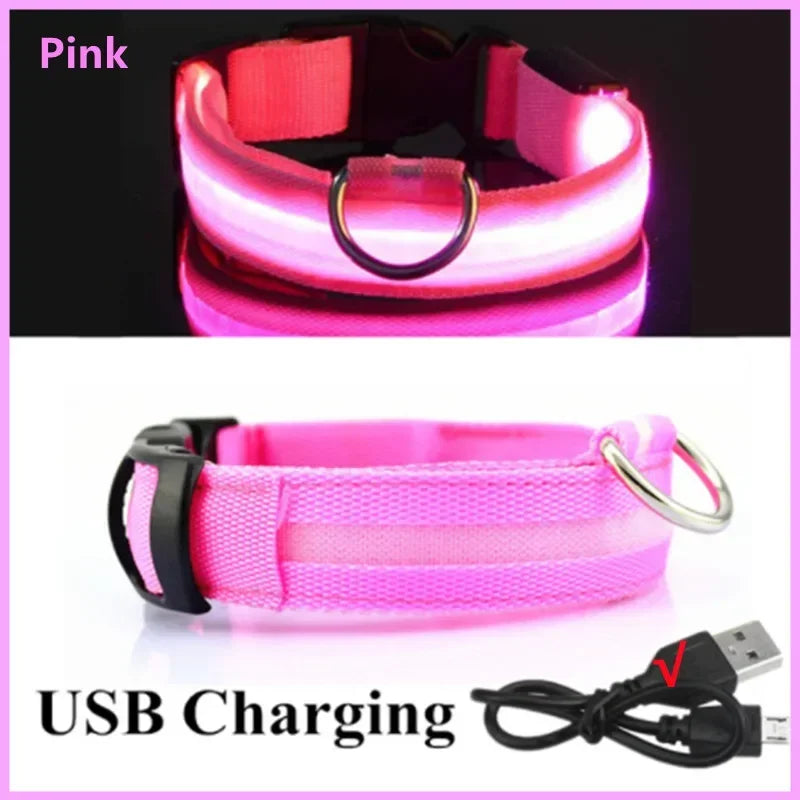 Collar LED Recargable para Perro — Luz Nocturna USB | Pawvibe