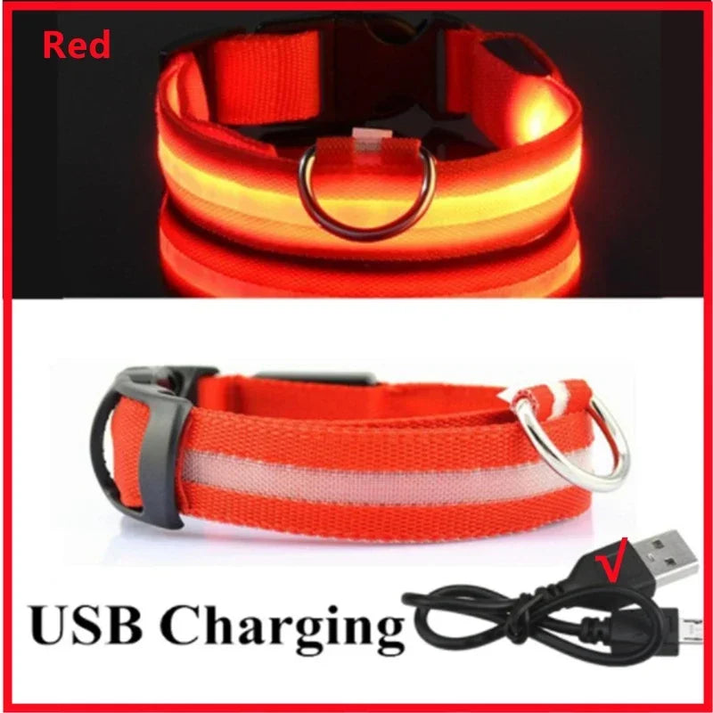 Collar LED Recargable para Perro — Luz Nocturna USB | Pawvibe