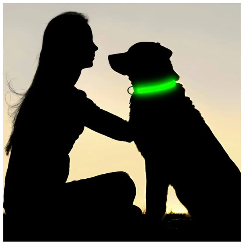 Collar LED Recargable para Perro — Luz Nocturna USB | Pawvibe