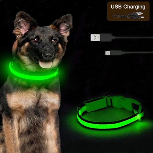 Collar LED Recargable para Perro — Luz Nocturna USB | Pawvibe