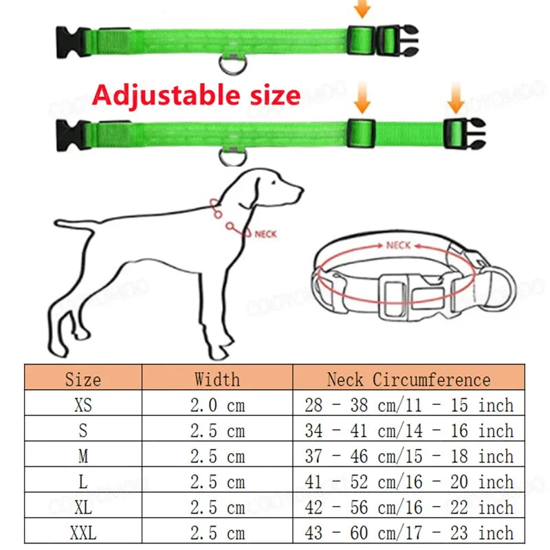 Collar LED Recargable para Perro — Luz Nocturna USB | Pawvibe