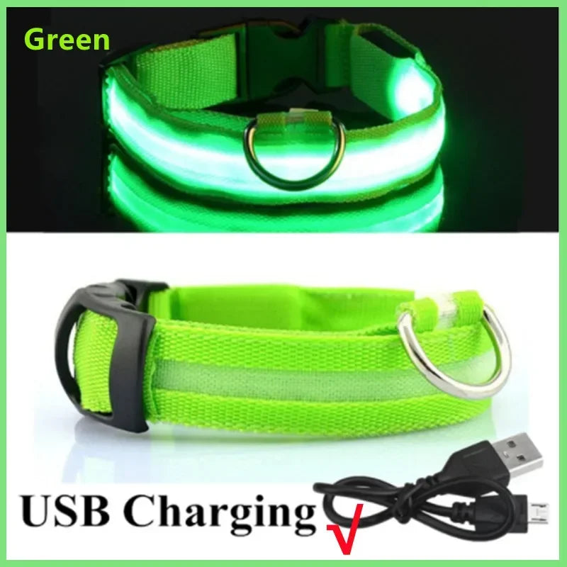 Collar LED Recargable para Perro — Luz Nocturna USB | Pawvibe