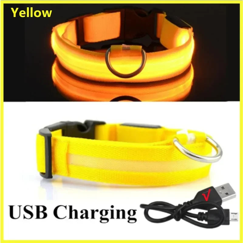 Collar LED Recargable para Perro — Luz Nocturna USB | Pawvibe