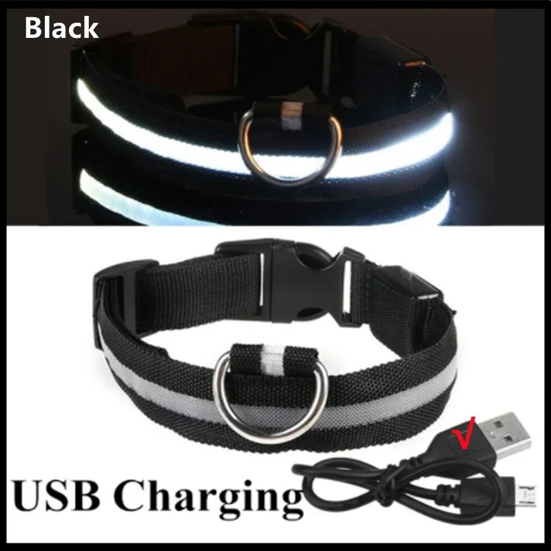 Collar LED Recargable para Perro — Luz Nocturna USB | Pawvibe