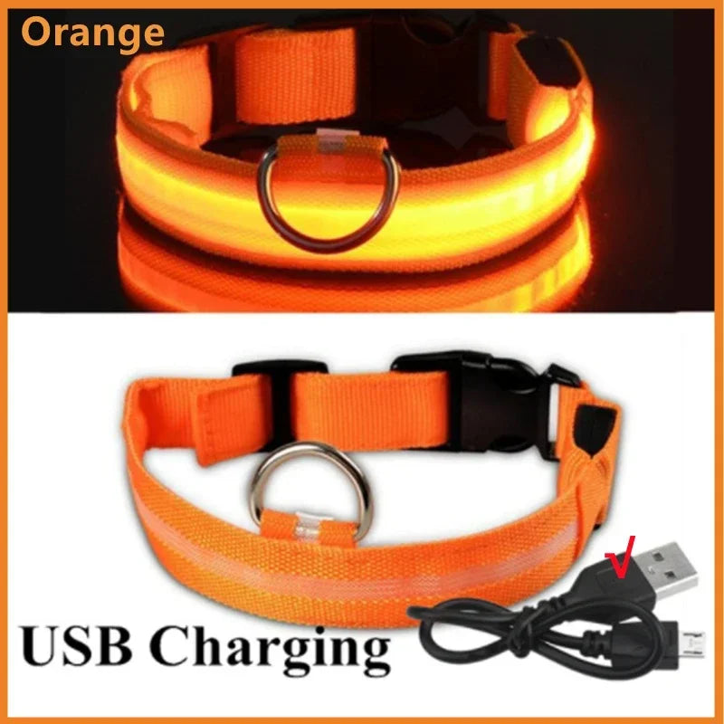 Collar LED Recargable para Perro — Luz Nocturna USB | Pawvibe