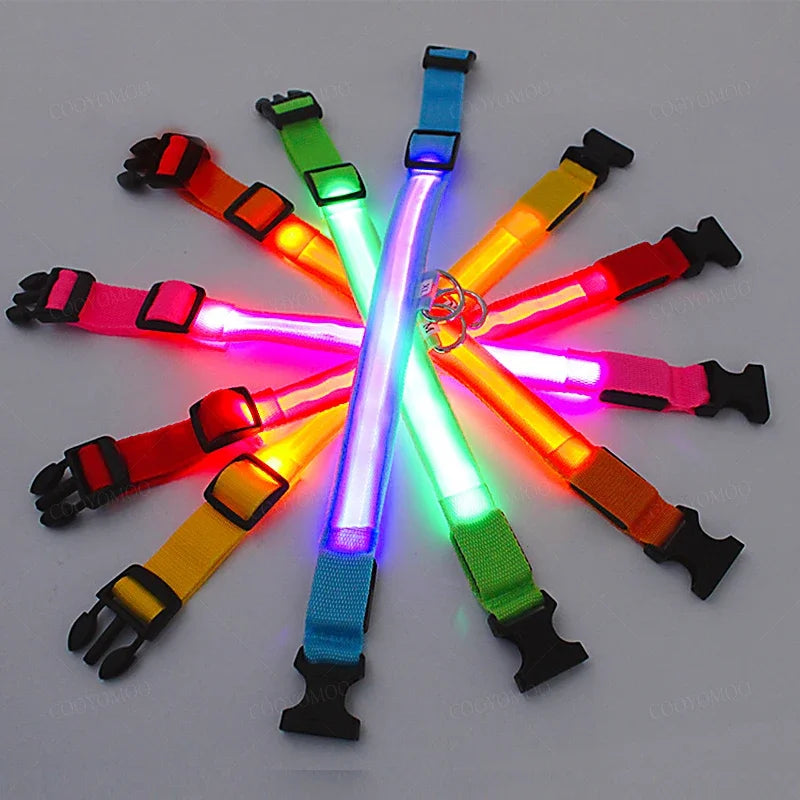 Collar LED Recargable para Perro — Luz Nocturna USB | Pawvibe