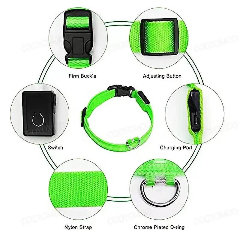 Collar LED Recargable para Perro — Luz Nocturna USB | Pawvibe