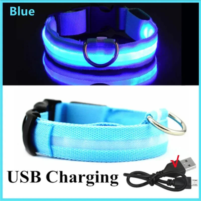 Collar LED Recargable para Perro — Luz Nocturna USB | Pawvibe