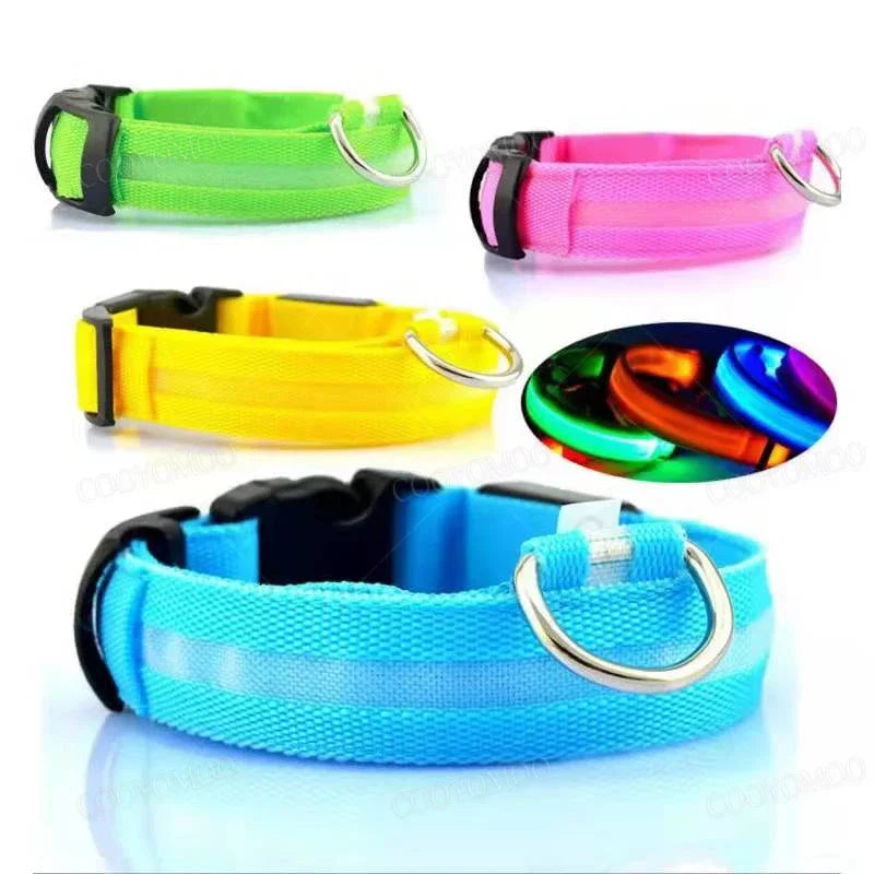 Collar LED Recargable para Perro — Luz Nocturna USB | Pawvibe